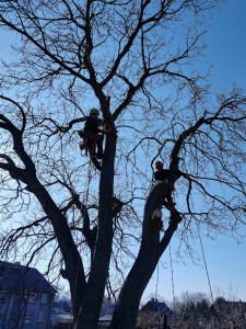 img_20250322_084634.jpg