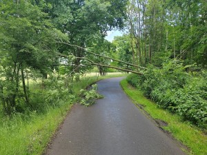 img_20250606_143401.jpg